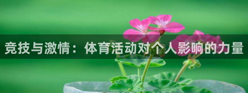 k1体育 十年品牌