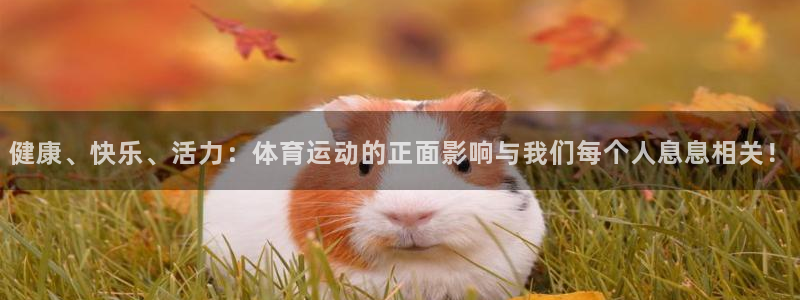 k1体育app下载