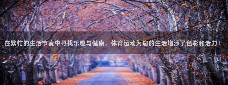 k1体育十年登录入口