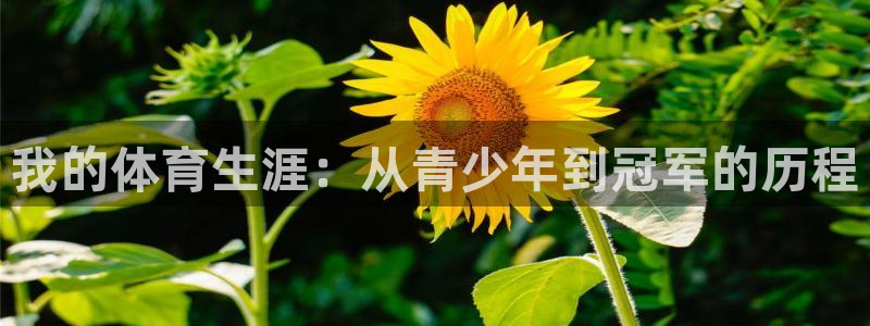 k1体育入口