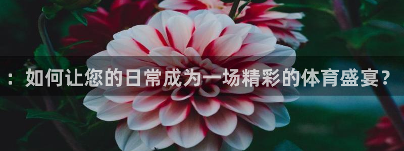 k1体育入口