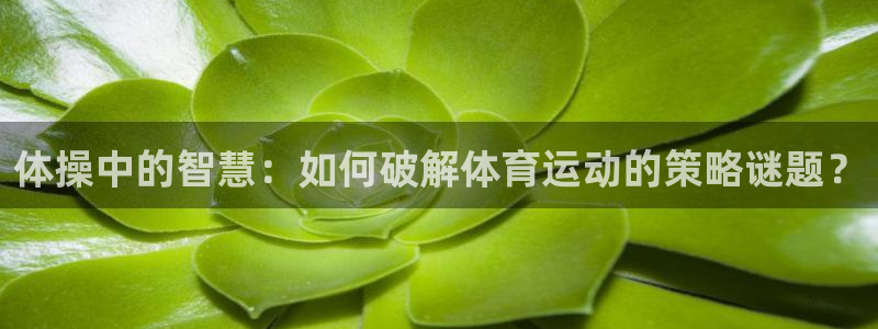 帮k1体育在线登录