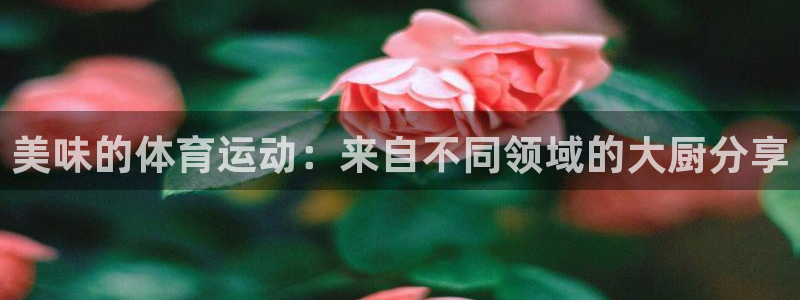 k1体育棋牌网址