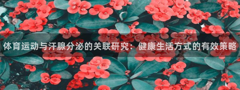 k1体育链接多少