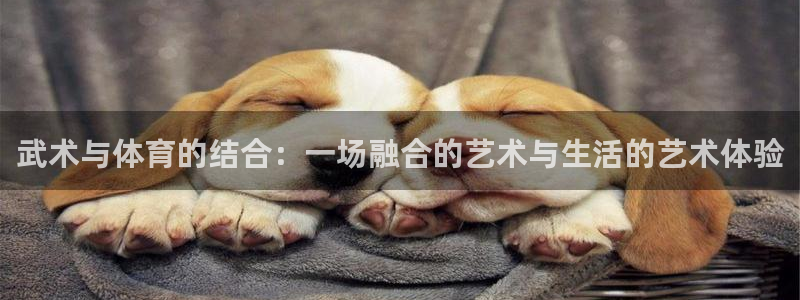 帮k1体育在线登录