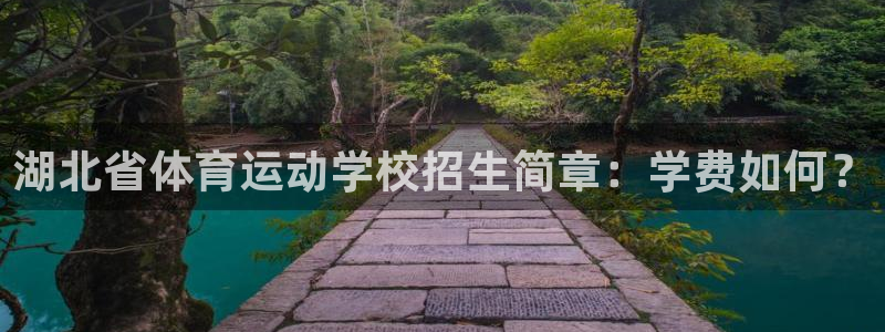 k1体育入口