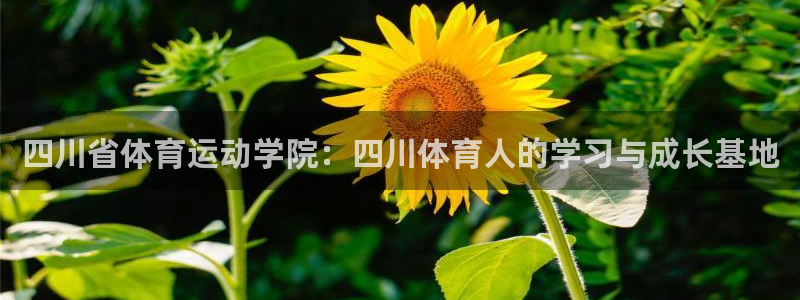 k1体育平台3915