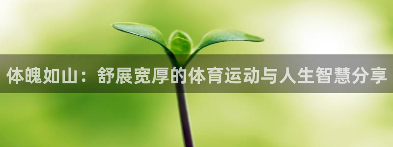 k1体育棋牌网址