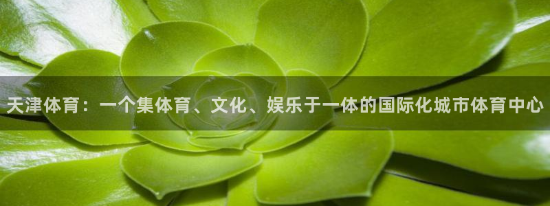 k1体育平台最新网站下载